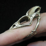 Chameleon Lizard Skull - Moon Raven Designs