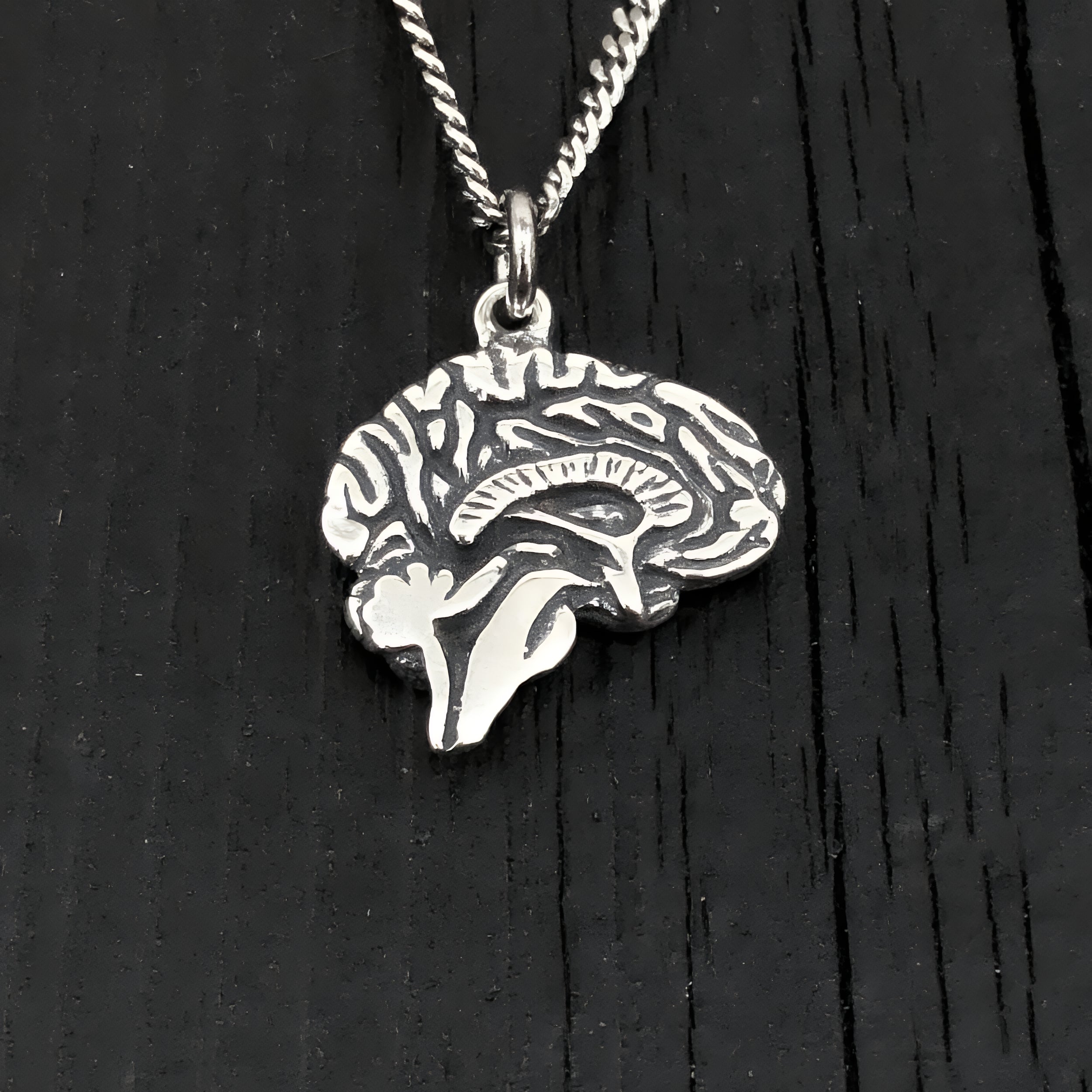 Brain Necklace Sterling Silver Anatomical Brain Neuro Jewelry Neurologist Gift Cerebral Cranium Medical Doctor Nurse Present Pendant