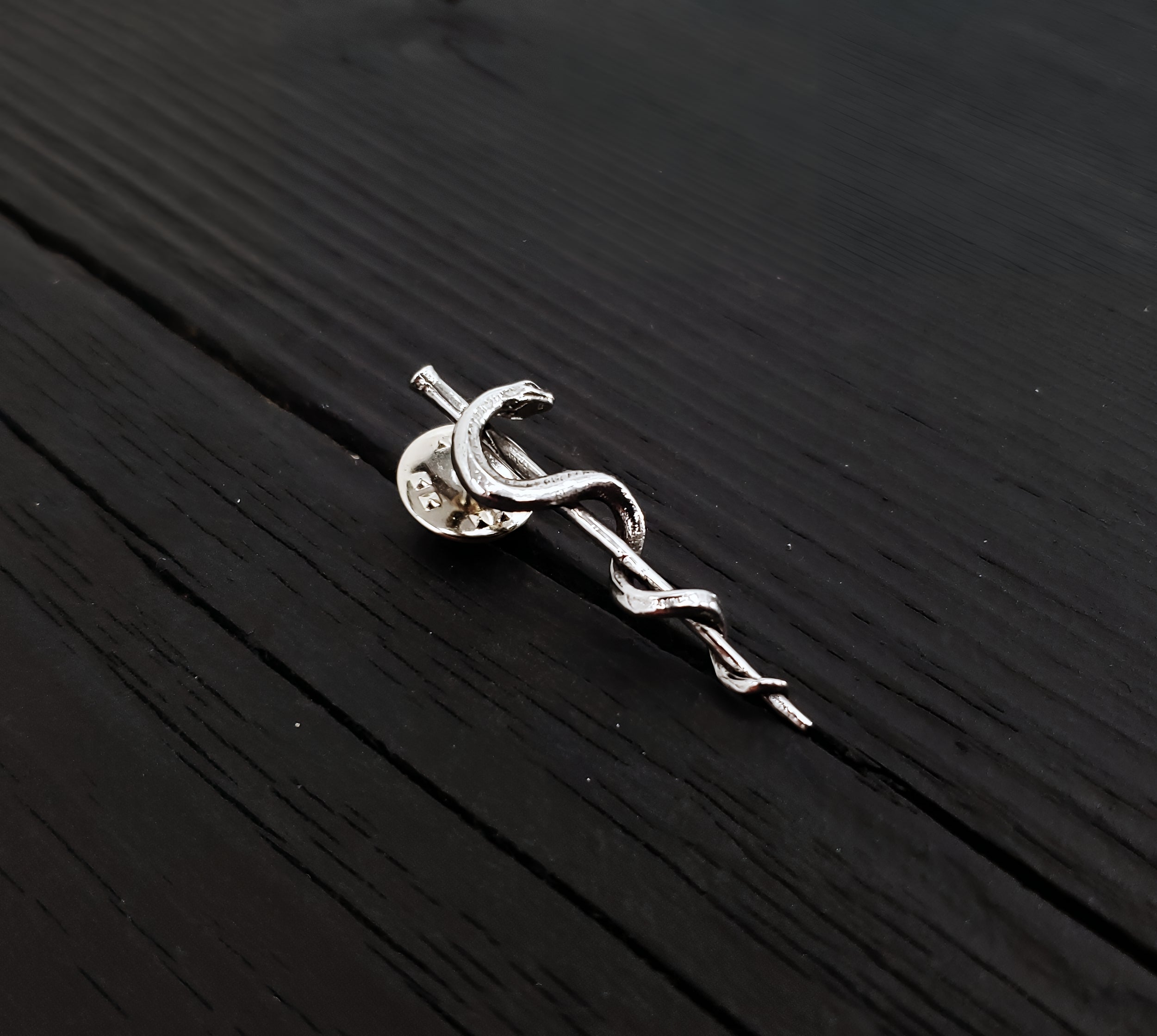 Silver snake pin on wooden table, intricate design | Moon Raven