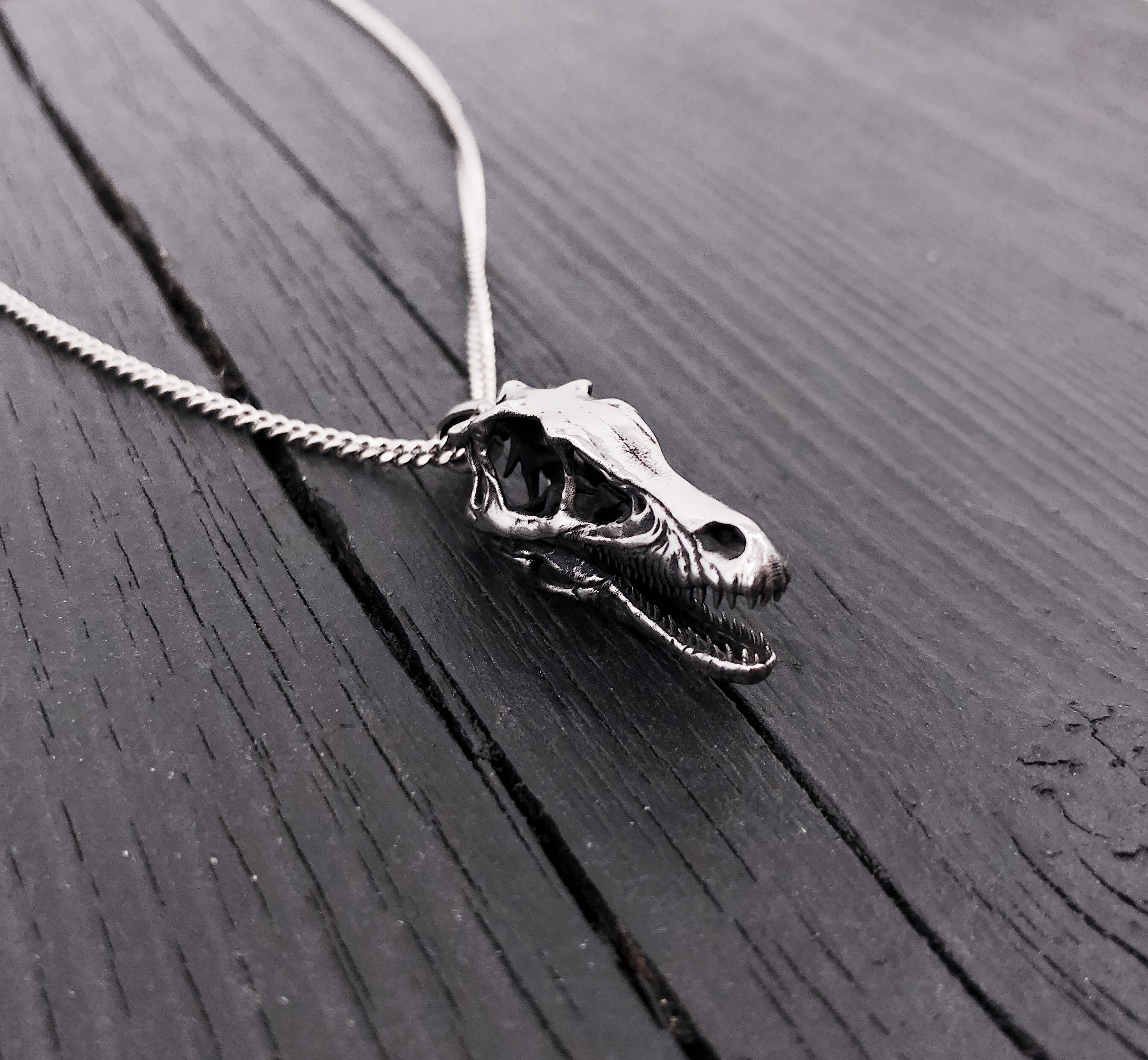 Silver necklace with detailed skull pendant, edgy gothic style | Moon Raven