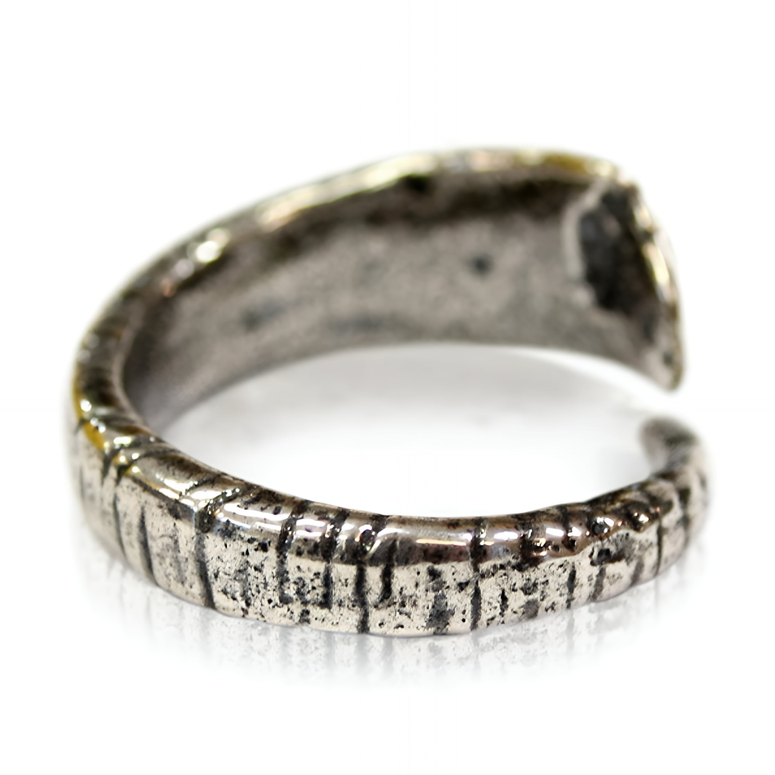 Ram Horn - Moon Raven Designs