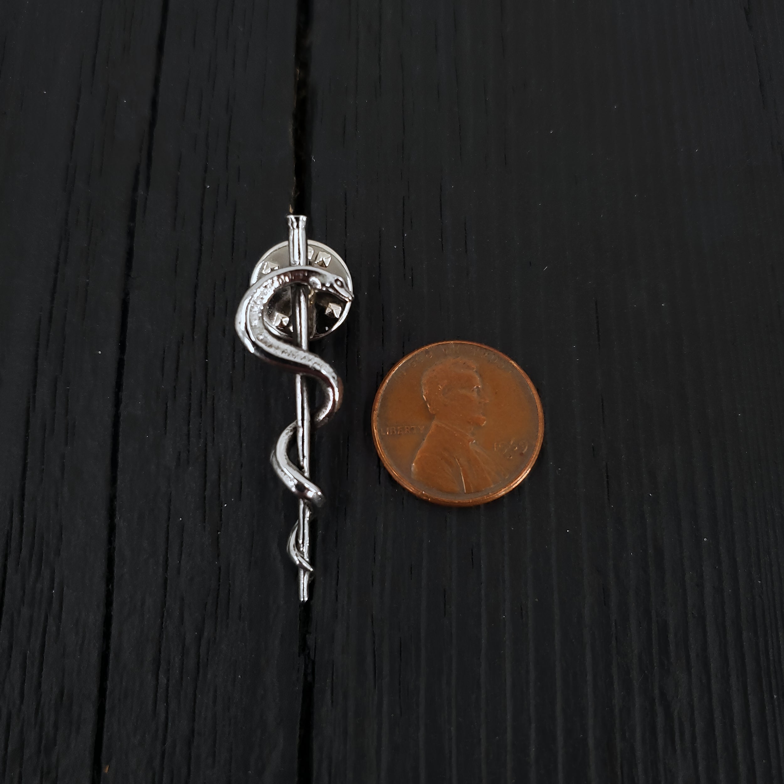 Silver snake pin beside penny, intricate design, contrast | Moon Raven