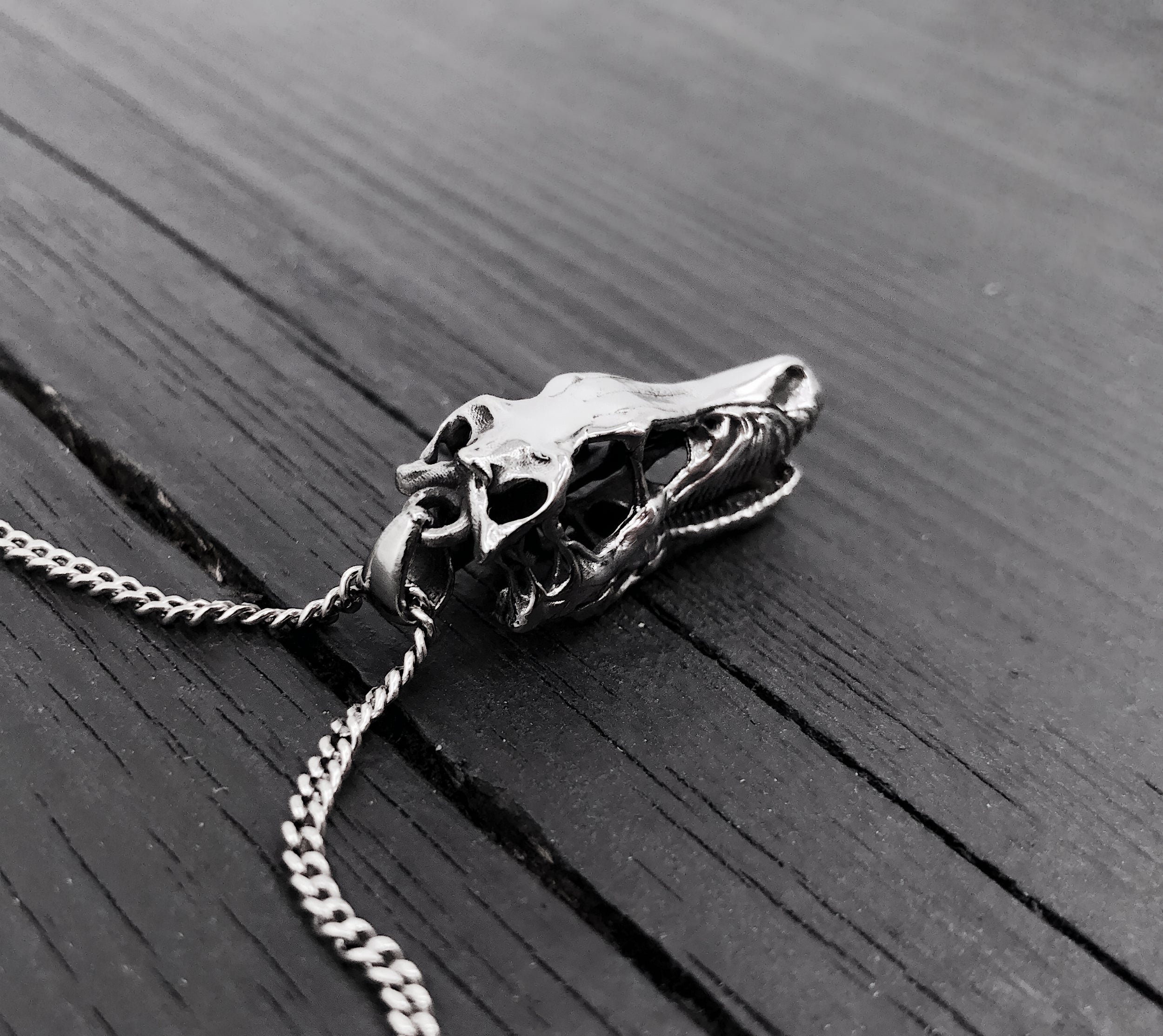 Black & white photo of necklace with skull pendant | Moon Raven