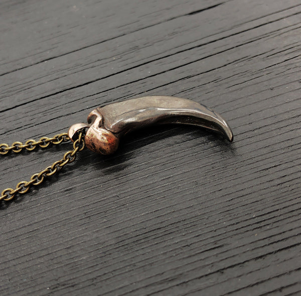 Coyote Canine Tooth Necklace