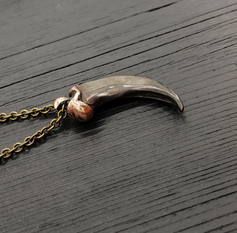 Coyote Canine Tooth Necklace