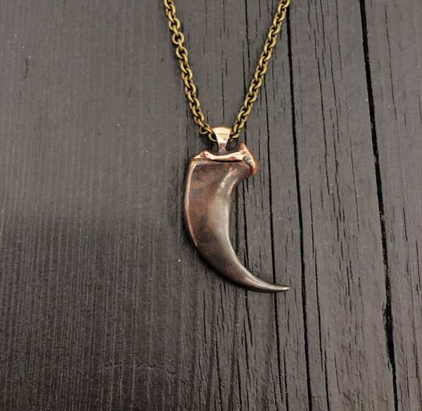 Coyote Canine Tooth Necklace