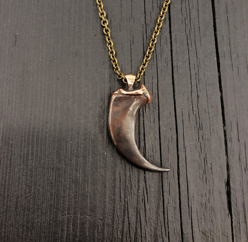 Coyote Canine Tooth Necklace