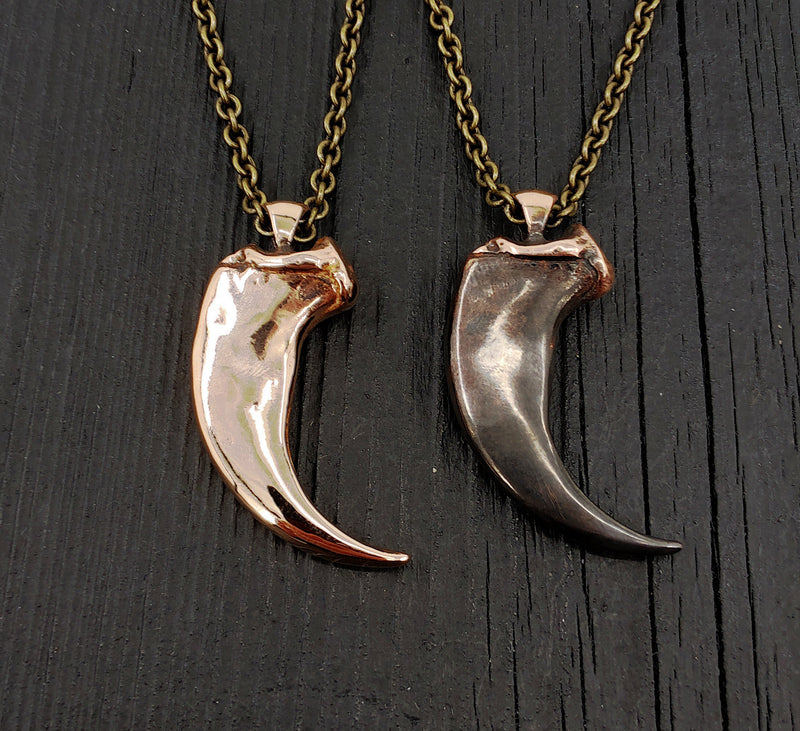 Coyote Canine Tooth Necklace