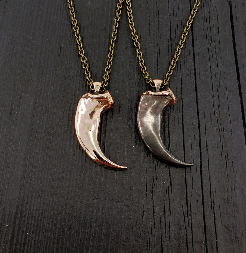 Coyote Canine Tooth Necklace