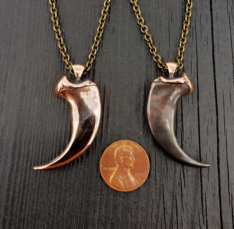 Coyote Canine Tooth Necklace