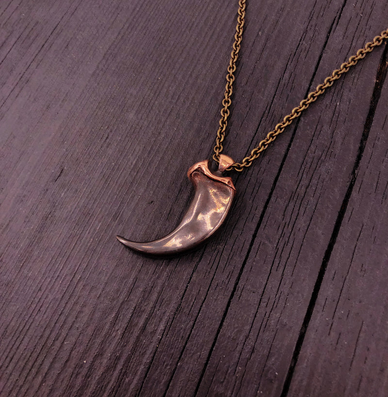 Coyote Canine Tooth Necklace