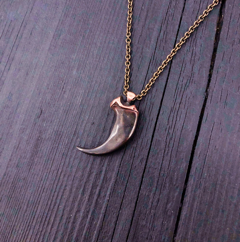 Coyote Canine Tooth Necklace