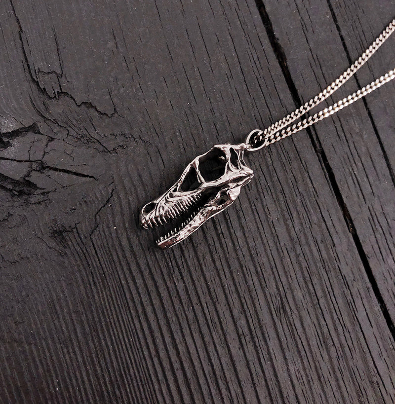 Velociraptor Dinosaur Claw Necklace in Solid Sterling Silver