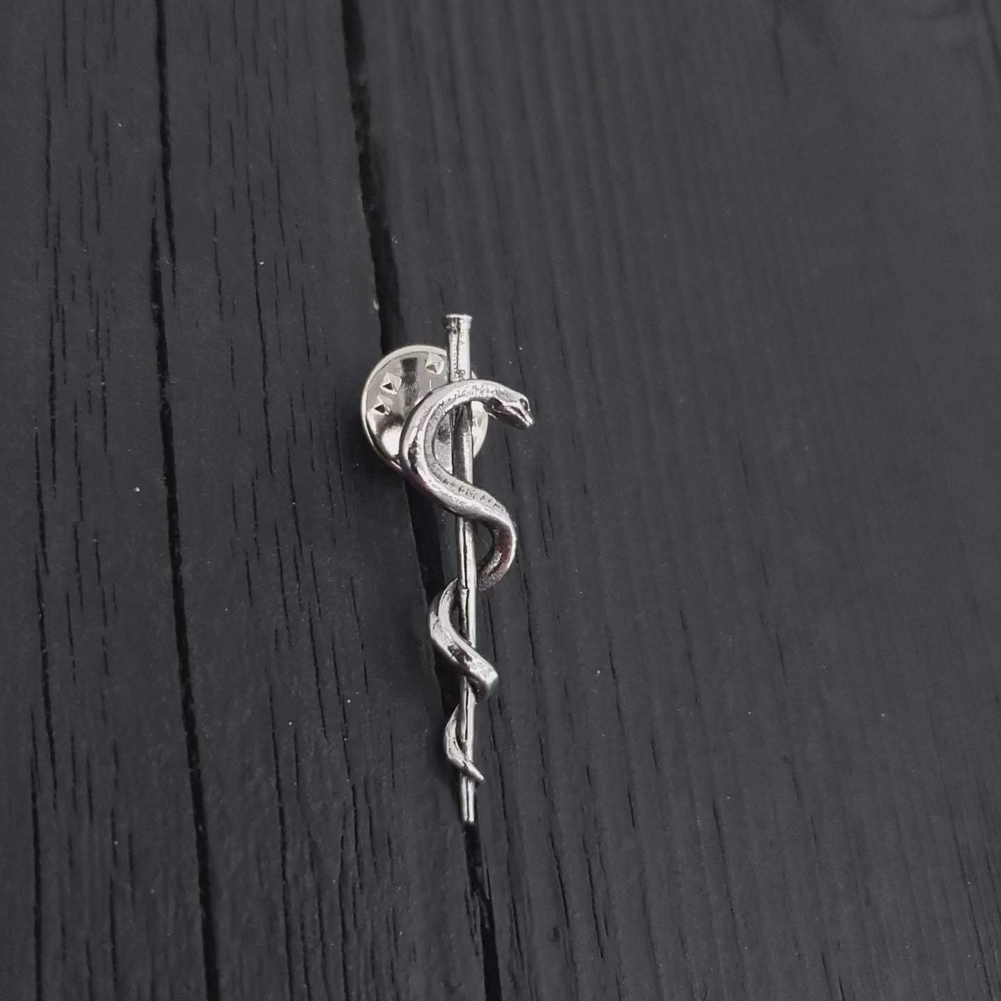 Silver medical pin with snake entwined around staff | Moon Raven